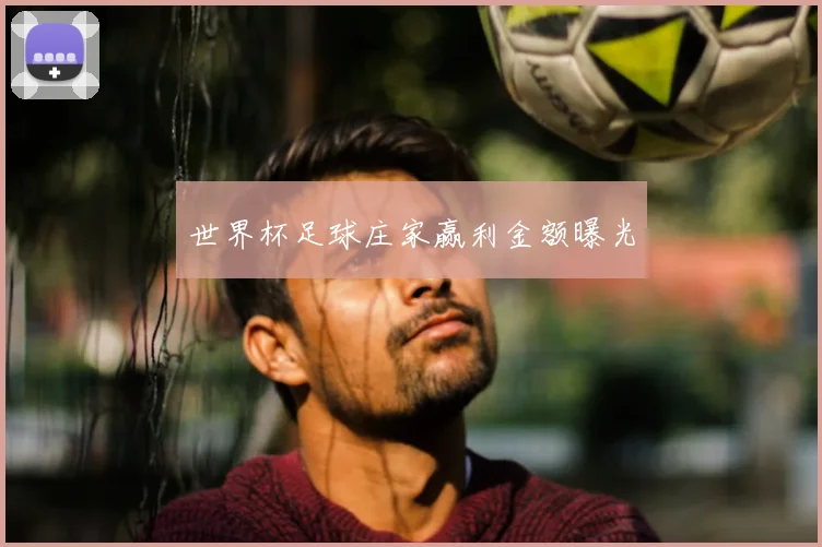 世界杯足球庄家赢利金额曝光