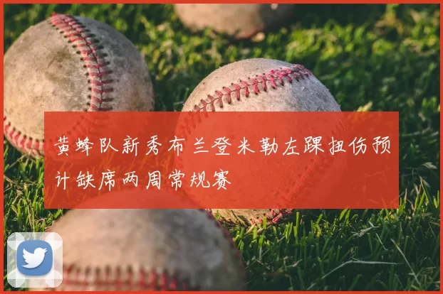 黄蜂队新秀布兰登米勒左踝扭伤预计缺席两周常规赛