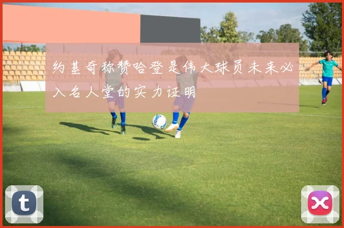 约基奇称赞哈登是伟大球员未来必入名人堂的实力证明