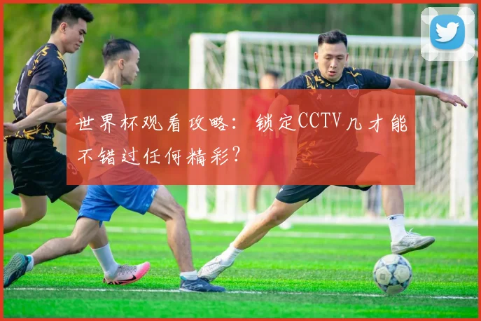 世界杯观看攻略：锁定CCTV几才能不错过任何精彩？