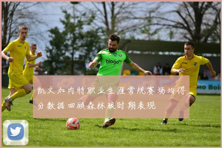 凯文加内特职业生涯常规赛场均得分数据回顾森林狼时期表现