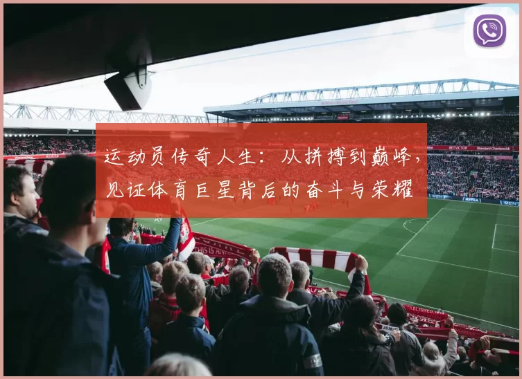 运动员传奇人生：从拼搏到巅峰，见证体育巨星背后的奋斗与荣耀