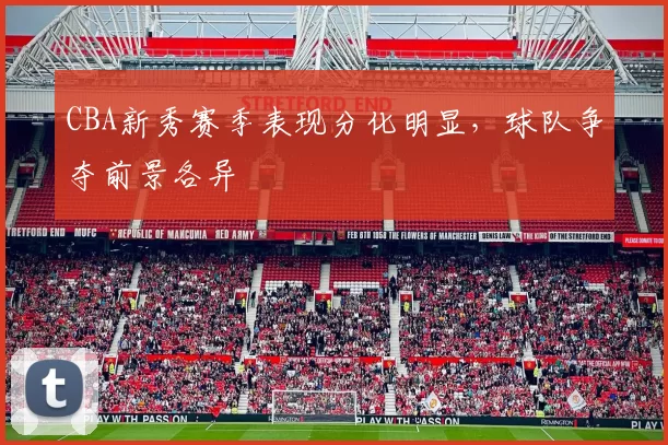 CBA新秀赛季表现分化明显，球队争夺前景各异